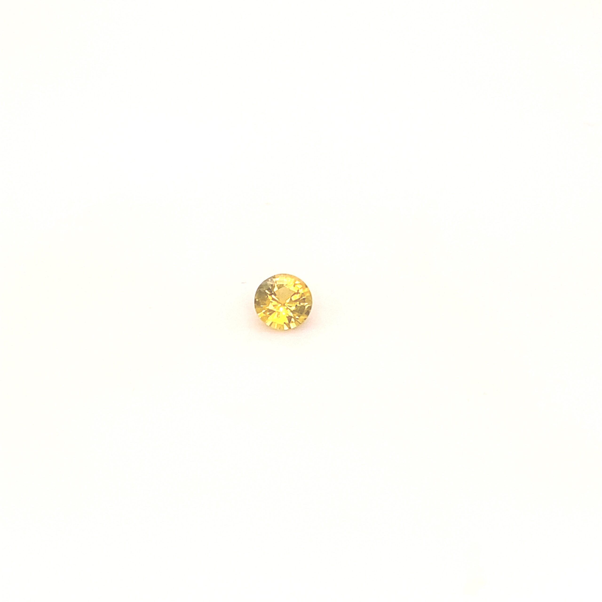 bi-color-round-Sapphire-459