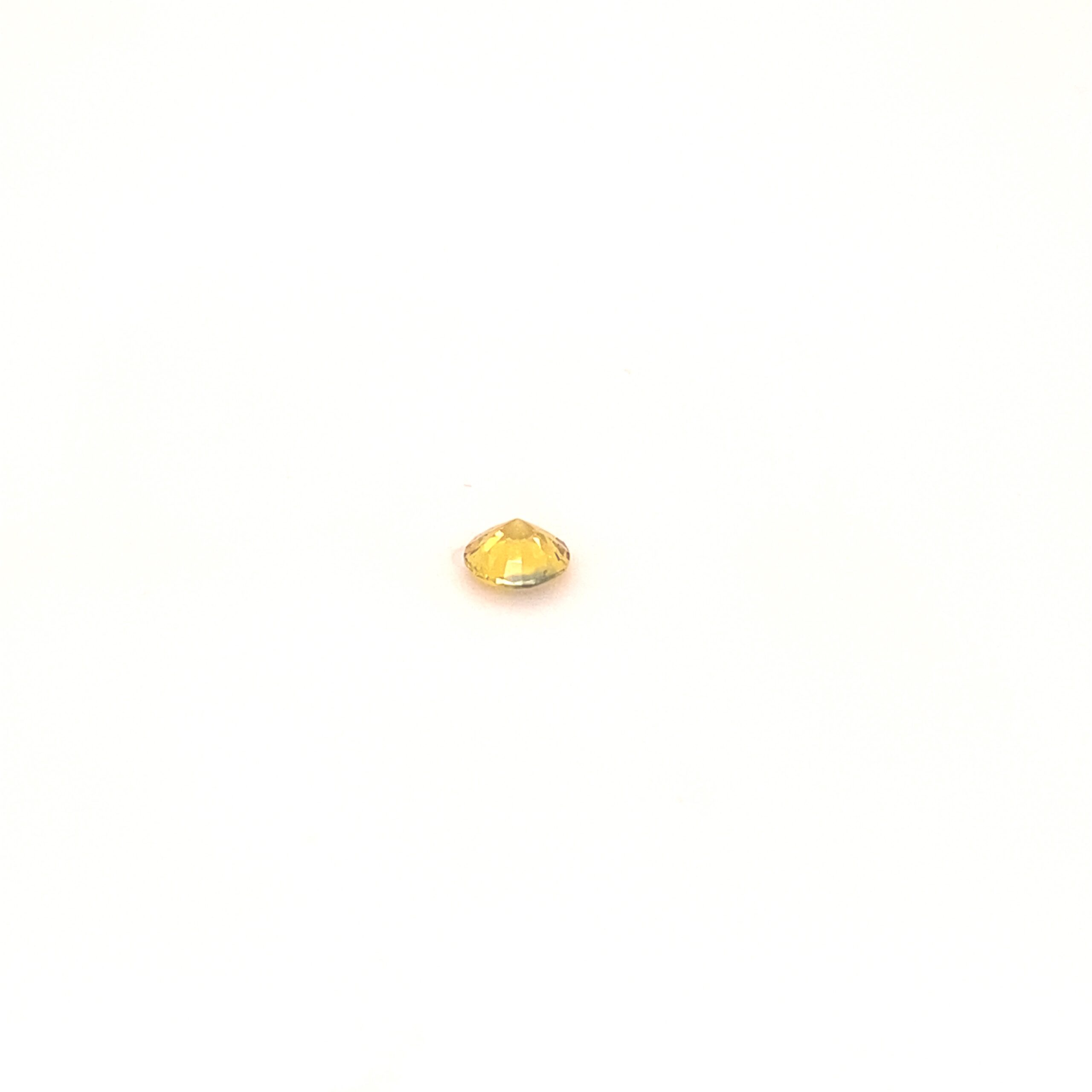 bi-color-round-Sapphire-459